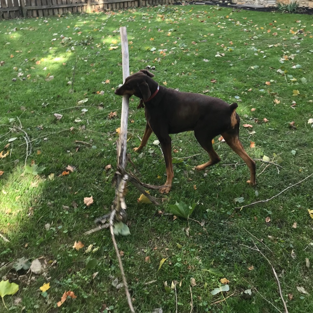 Meet your Posher, Beth